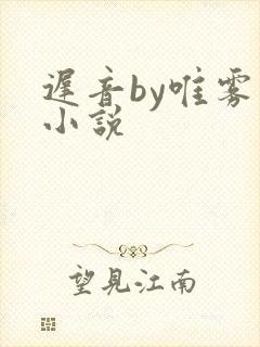 迟音by唯雾的小说