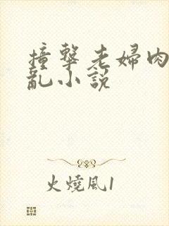 撞击老妇肉体之乱小说