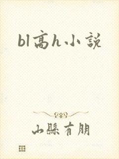 bl高h小说
