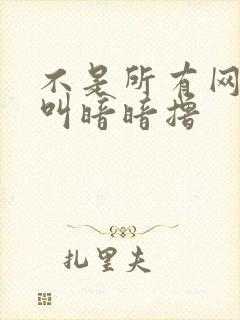 不是所有网站都叫暗暗撸