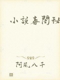 小说春闺秘史