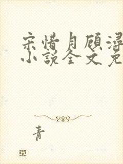 宋惜月顾浔渊的小说全文免费阅读