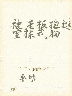 被老板抱进办公室揉我胸