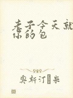 老子今天就要开你的包