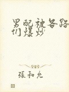 男配被各路大佬们爆炒