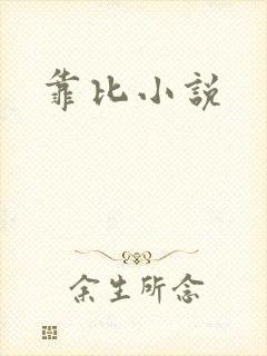 靠比小说