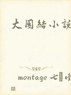 大团结小说全文