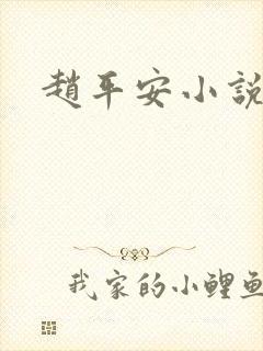 赵平安小说主角