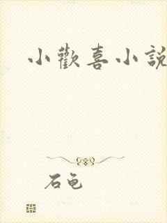 小欢喜小说