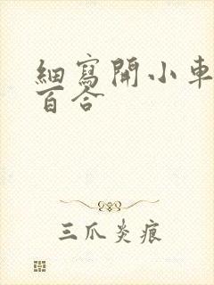 细写开小车车的百合