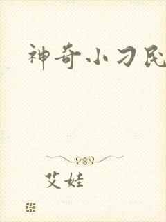 神奇小刁民
