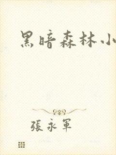 黑暗森林小说