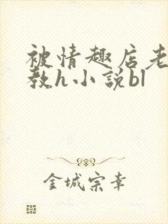 被情趣店老板调教h小说bl