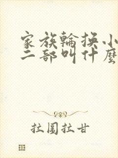家族轮换小说第二部叫什么名字