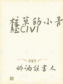 校草的小青梅不经C1V1