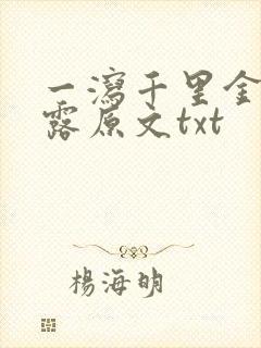 一泻千里金银花露原文txt