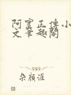 阿宾正传小说全文笔趣阁