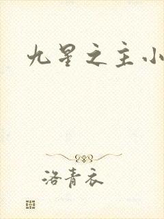 九星之主小说