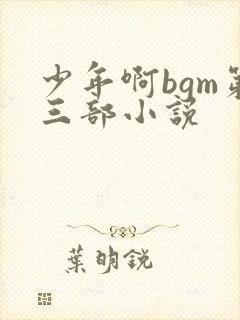少年啊bgm第三部小说