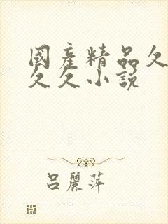 国产精品久久久久久小说