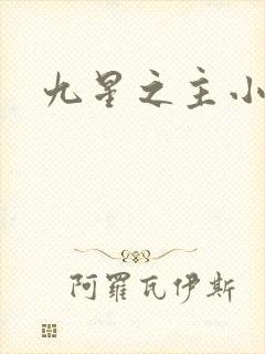 九星之主小说