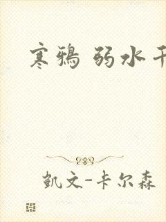 寒鸦 弱水千流
