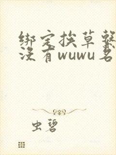 绑定挨草系统后没有wuwu名字