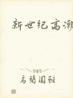 新世纪高潮战队