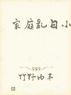 家庭乱日小说