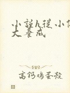 小说h从小做到大养成