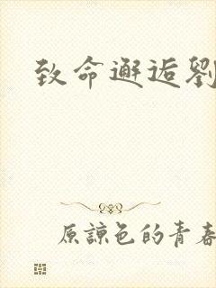 致命邂逅刘小寐