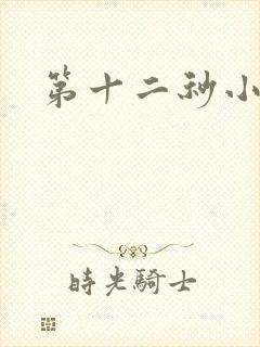 第十二秒小说