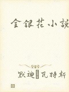 金银花小说乐可