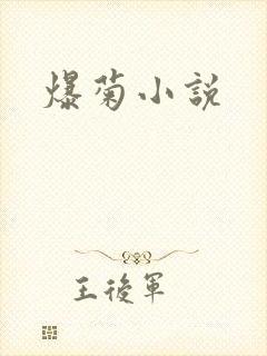 爆菊小说