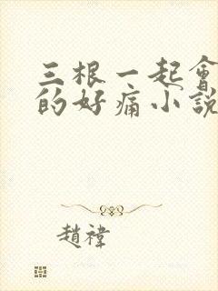 三根一起会坏掉的好痛小说