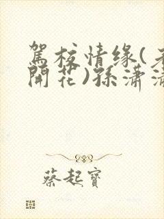 驾校情缘(老树开花)孙潇潇笔趣阁