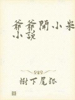 爷爷开小米的包小说