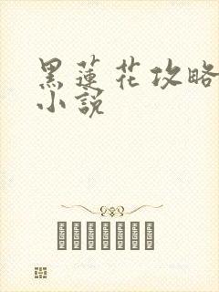 黑莲花攻略手册小说