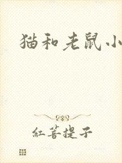 猫和老鼠小说