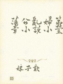 荡公乱妇第51章小说小莹