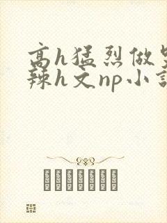 高h猛烈做哭高辣h文np小说