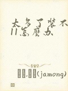 太多了装不下h11怎么办