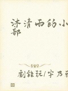 沐清雨的小说全部