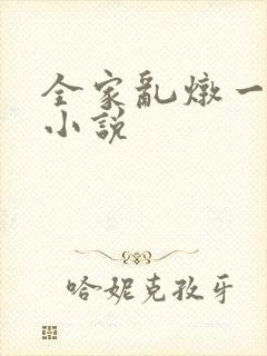 全家乱炖一锅烩小说