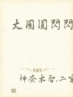 大团圆闪闪发光