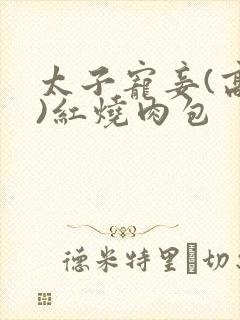 太子宠妾(高肉)红烧肉包