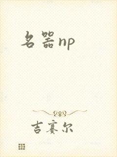 名器np