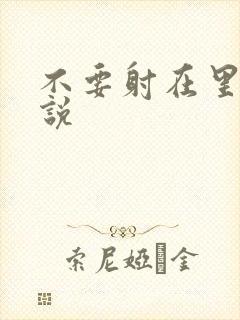 不要射在里面小说