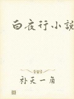 白夜行小说下载