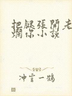 把腿张开老子臊烂你小说